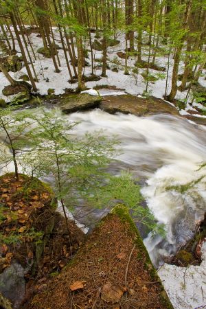 68  CK623-Bicknell-Brook-in-early-spring.jpg